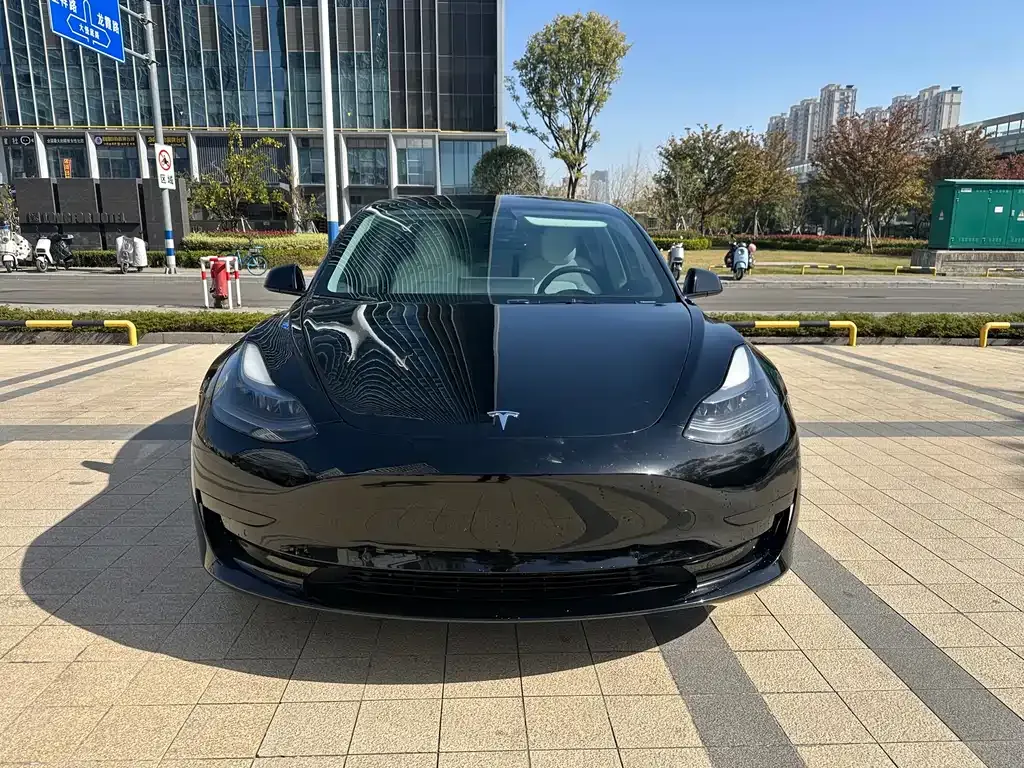 Tesla Model 3 2022 из CN, фото 1