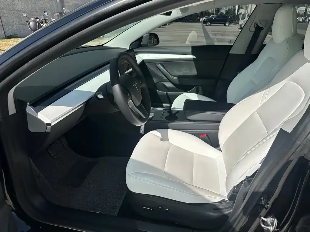 Tesla Model 3 2022 из CN, фото 4