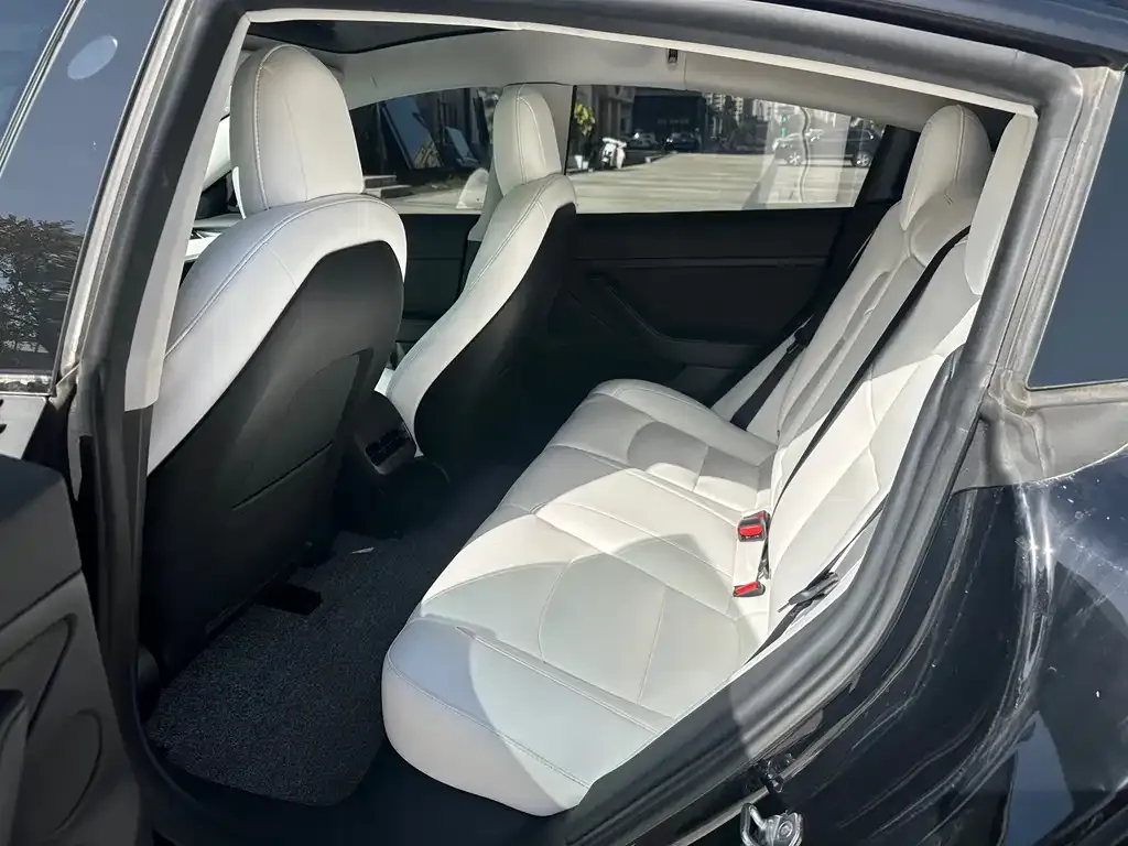Tesla Model 3 2022 из CN, фото 5