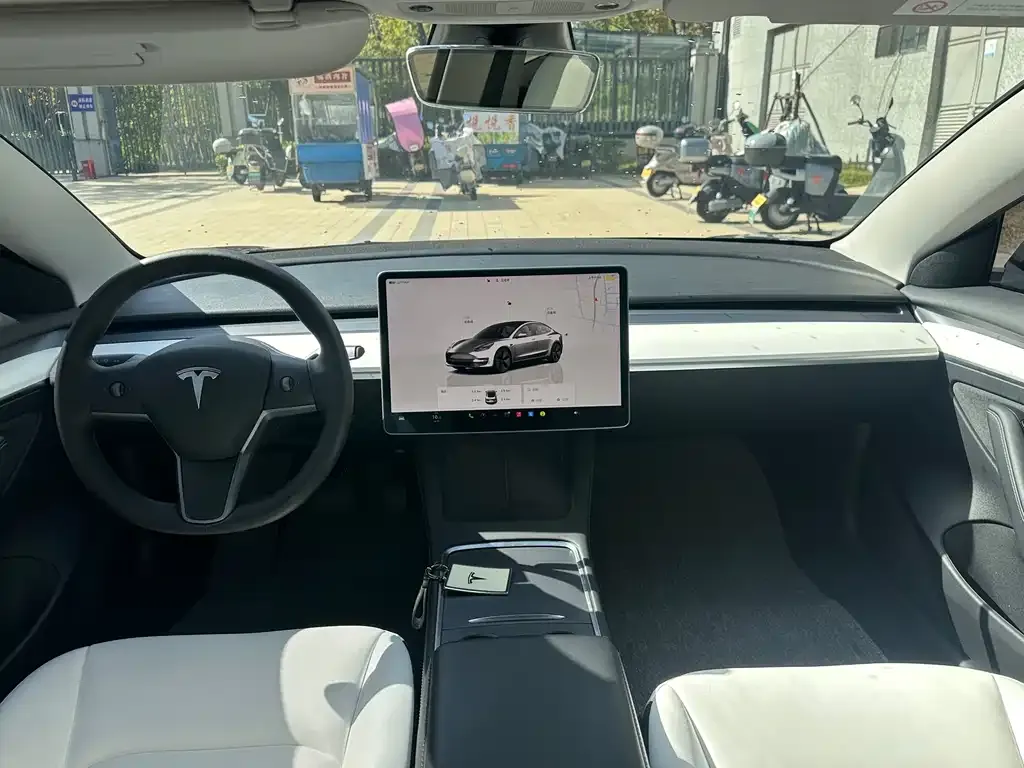 Tesla Model 3 2022 из CN, фото 6