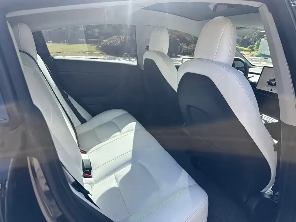 Tesla Model 3 2022 из CN, фото 8