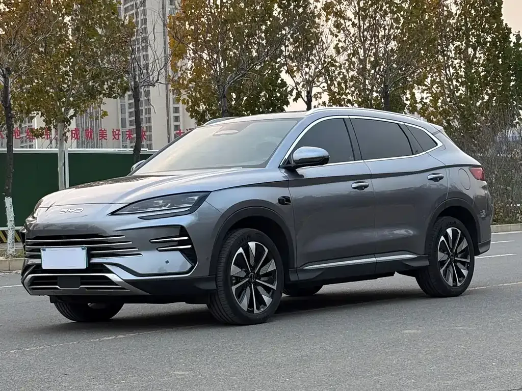 BYD PLUS New Energy 2025 из CN, фото 1