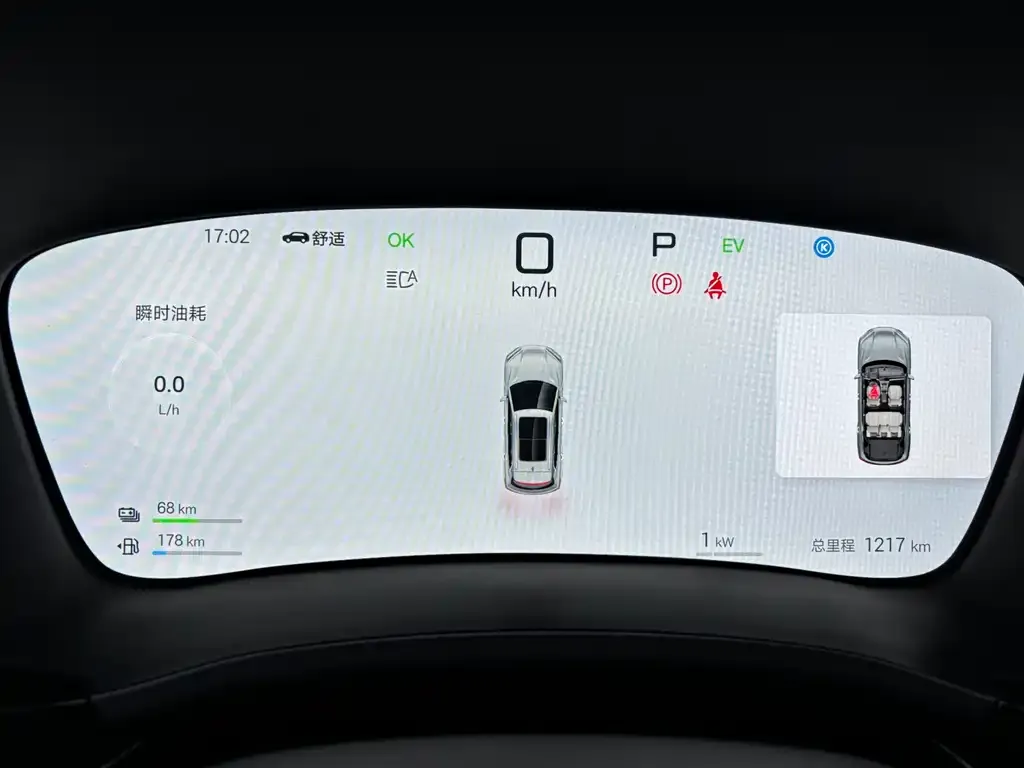 BYD PLUS New Energy 2025 из CN, фото 10
