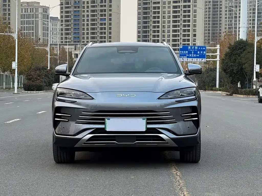 BYD PLUS New Energy 2025 из CN, фото 2
