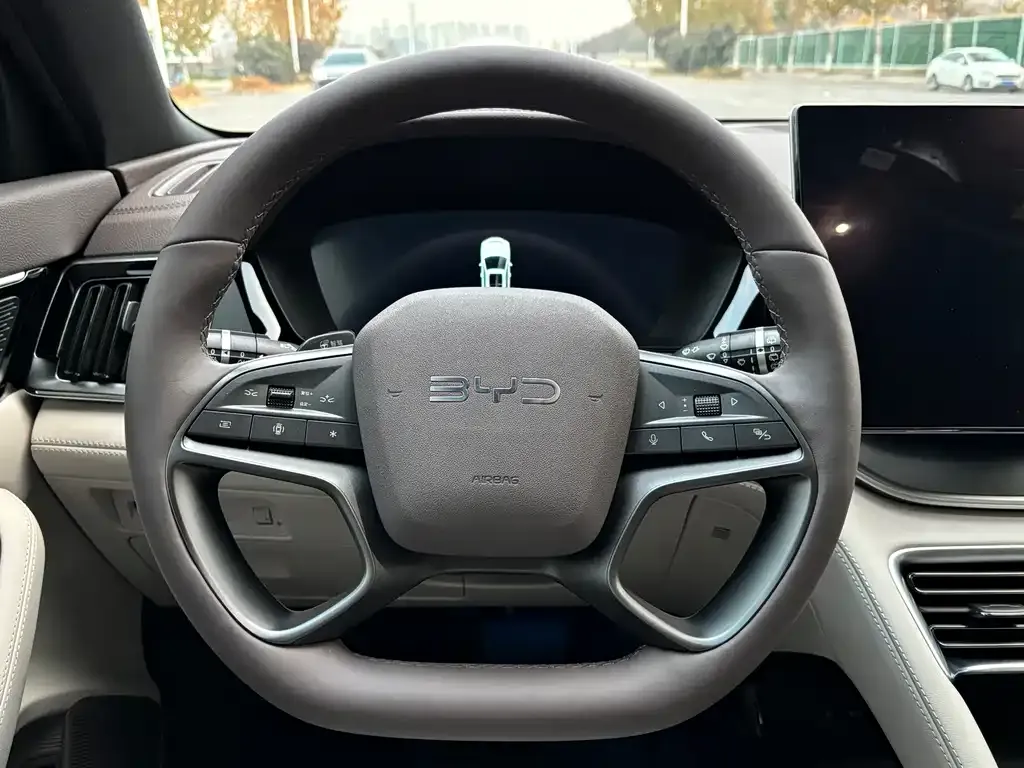 BYD PLUS New Energy 2025 из CN, фото 9