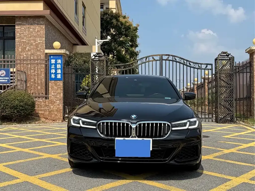 BMW 5 Series 2023 из CN, фото 2