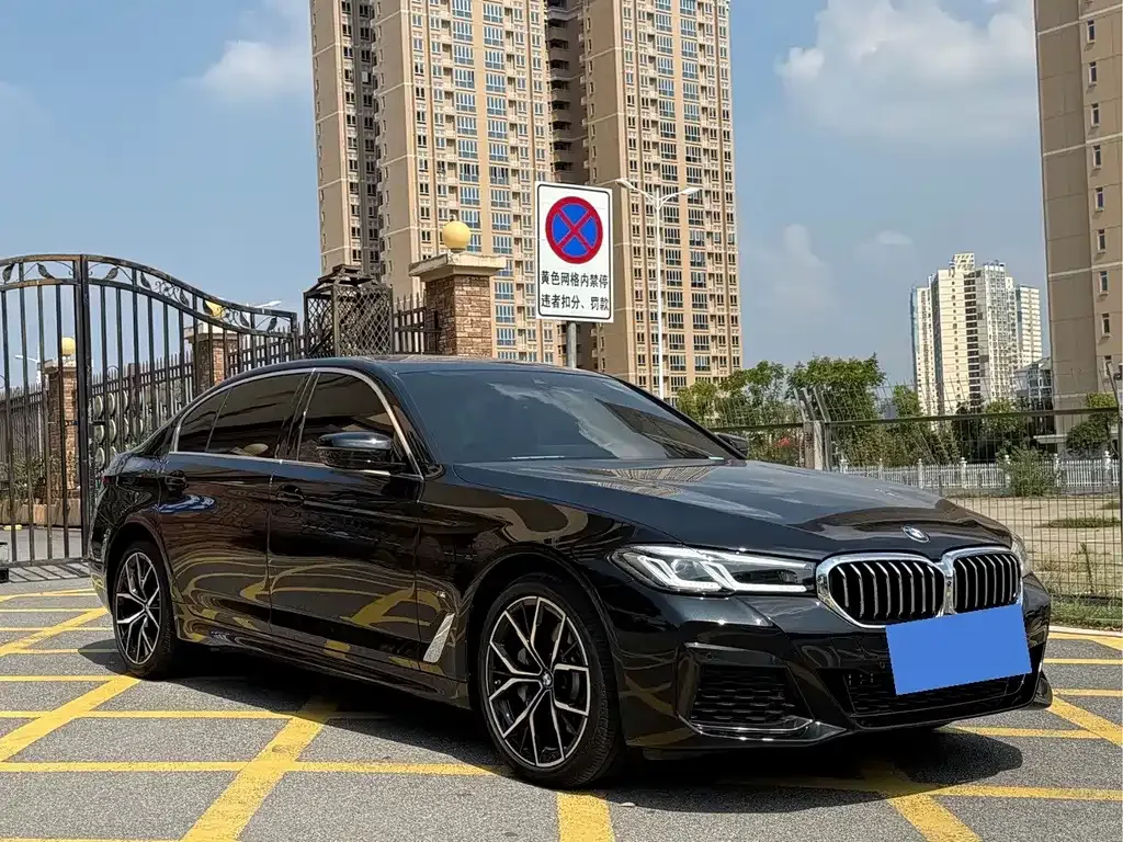 BMW 5 Series 2023 из CN, фото 3