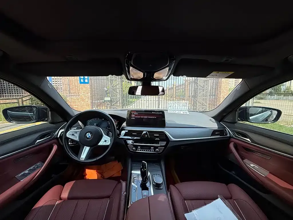 BMW 5 Series 2023 из CN, фото 6