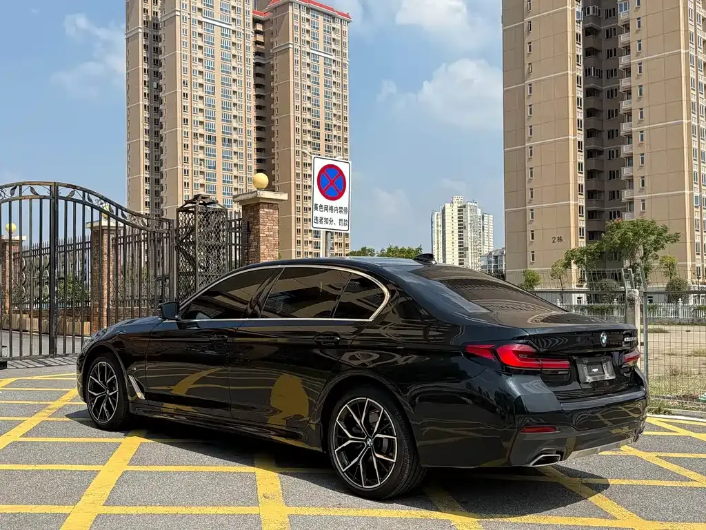 BMW 5 Series 2023 из CN, фото 7