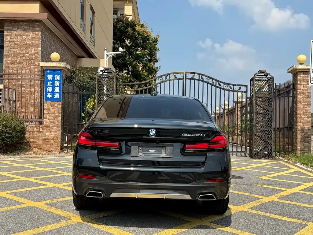 BMW 5 Series 2023 из CN, фото 8