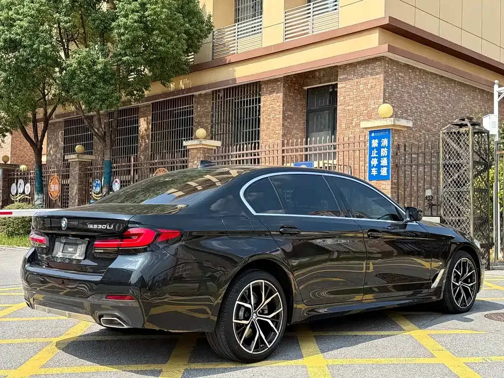BMW 5 Series 2023 из CN, фото 9