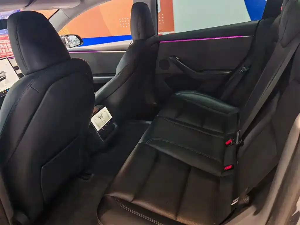 Tesla Model 3 2024 из CN, фото 6