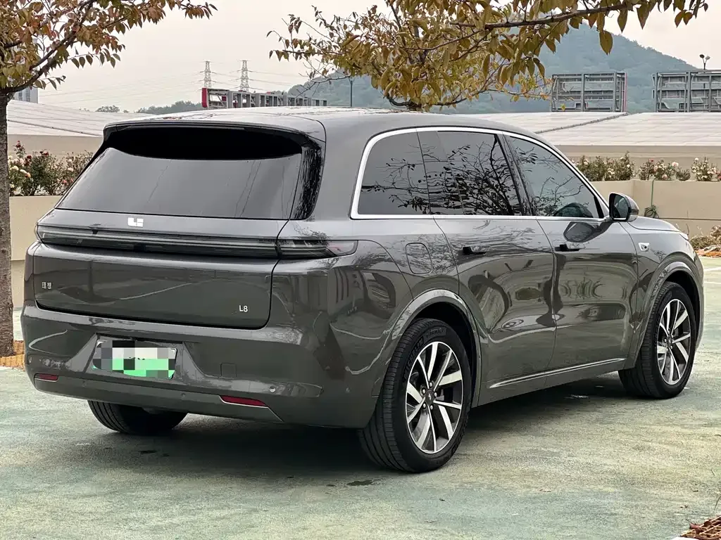 Li Auto L8 2023 из CN, фото 10