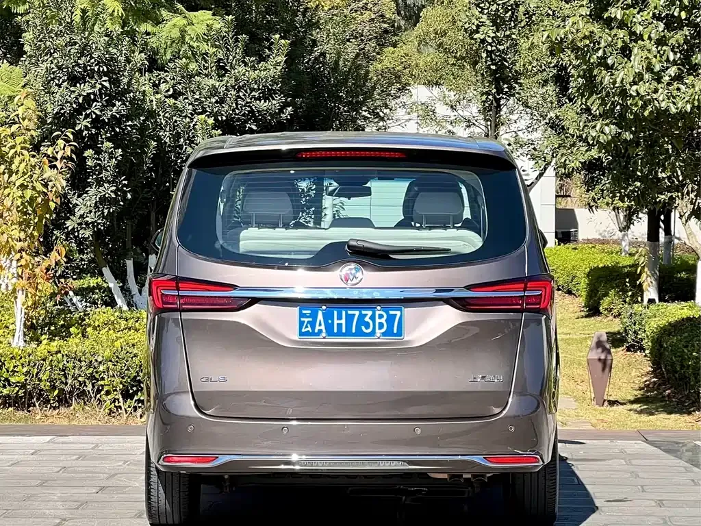 Buick GL8 2023 из CN, фото 4