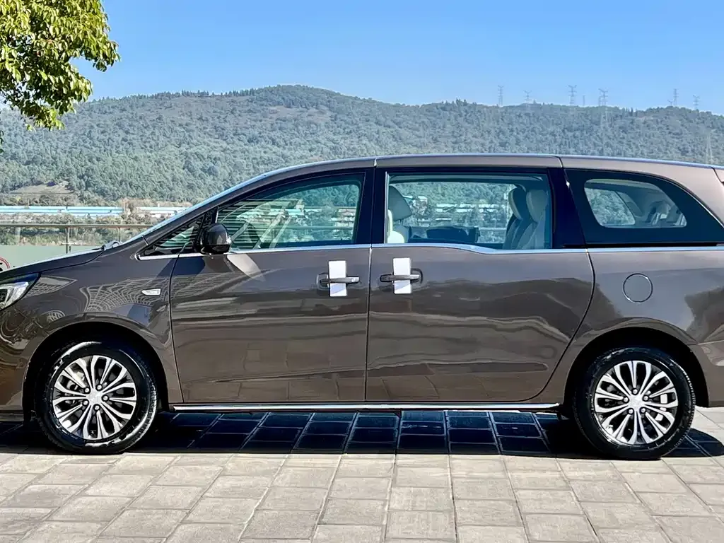Buick GL8 2023 из CN, фото 6