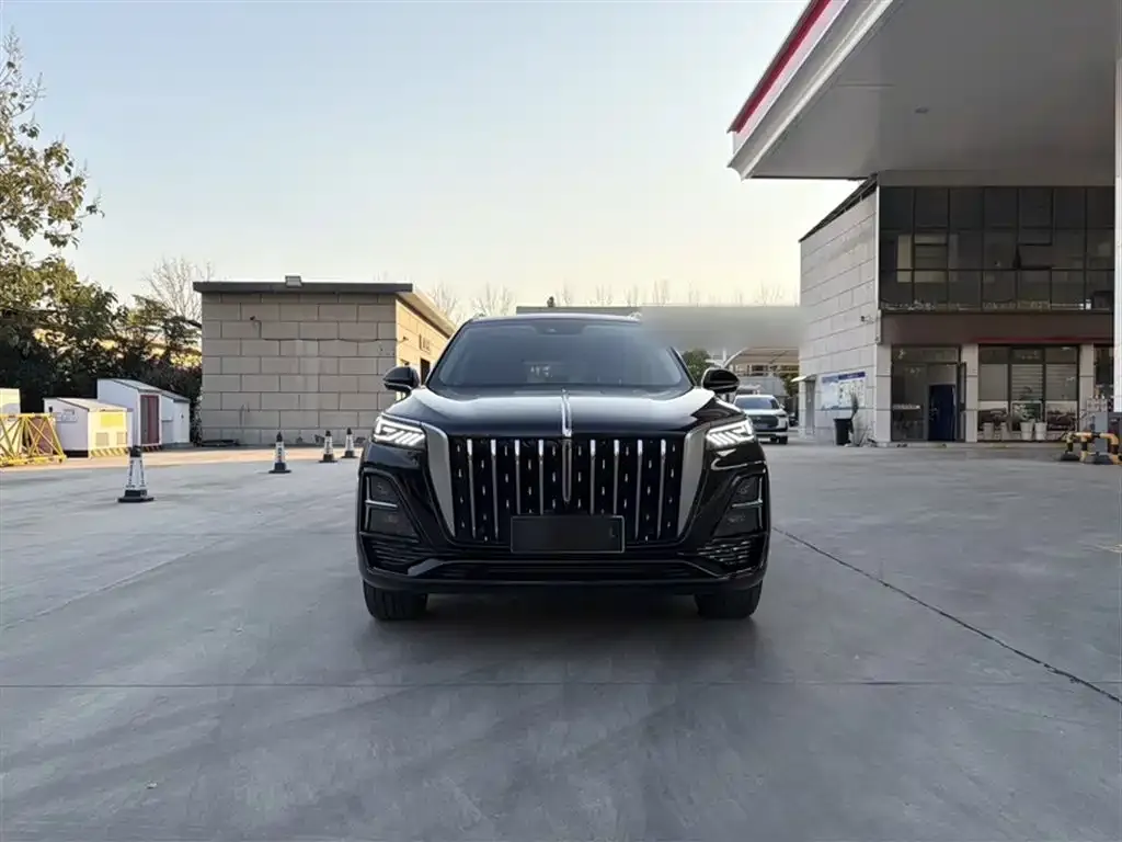 Hongqi HS5 2024 из CN, фото 3