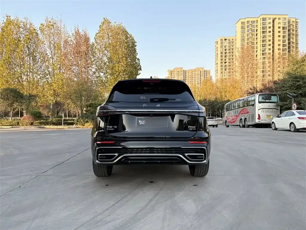 Hongqi HS5 2024 из CN, фото 6