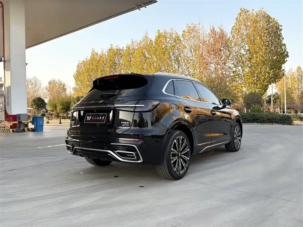 Hongqi HS5 2024 из CN, фото 7