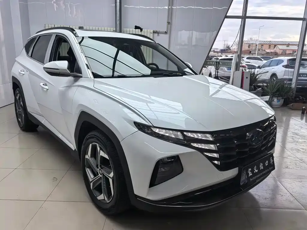Hyundai Tucson 2021 из CN, фото 3