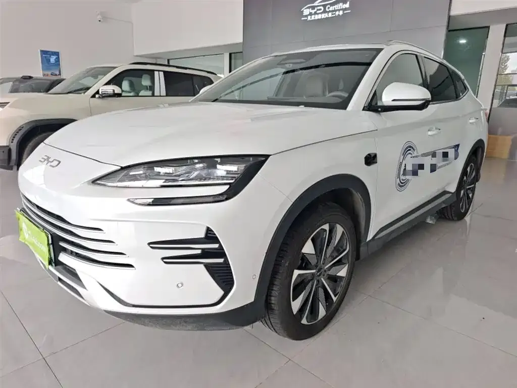 BYD PLUS New Energy — фото 1