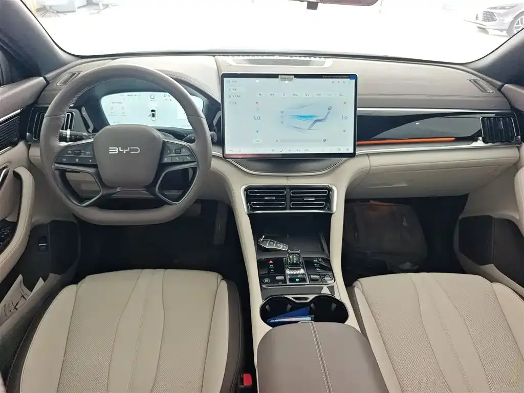 BYD PLUS New Energy — фото 10
