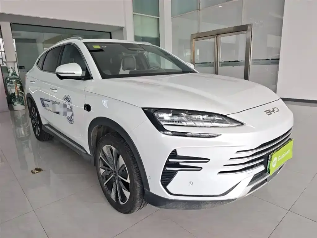 BYD PLUS New Energy — фото 4