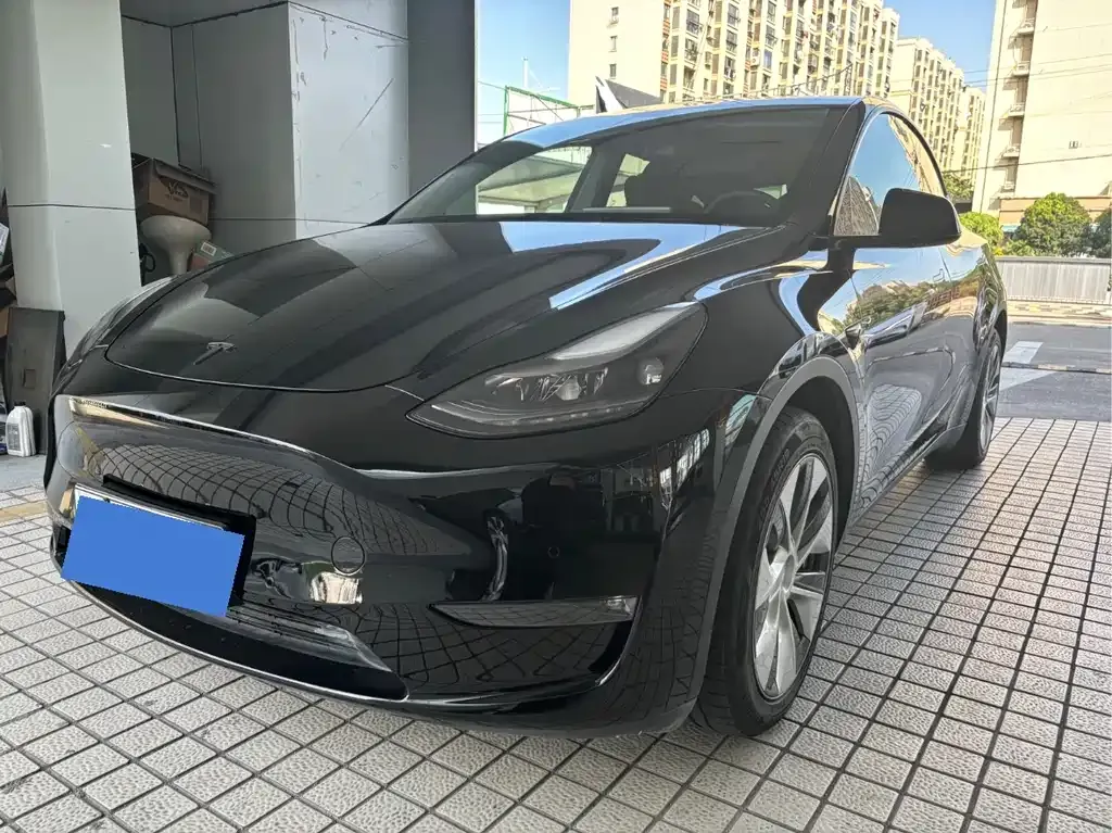 Tesla Model Y 2021 из CN, фото 1