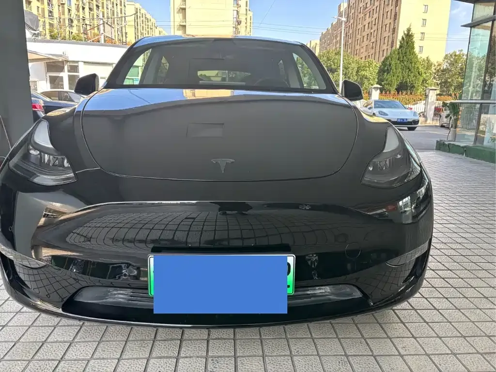 Tesla Model Y 2021 из CN, фото 2
