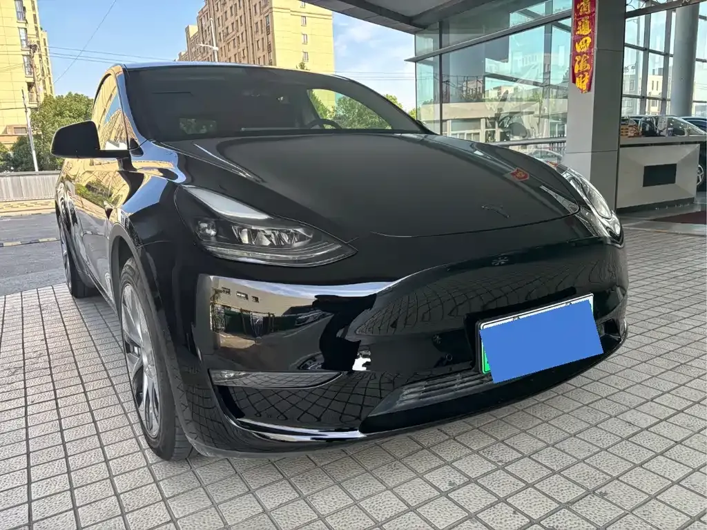 Tesla Model Y 2021 из CN, фото 3