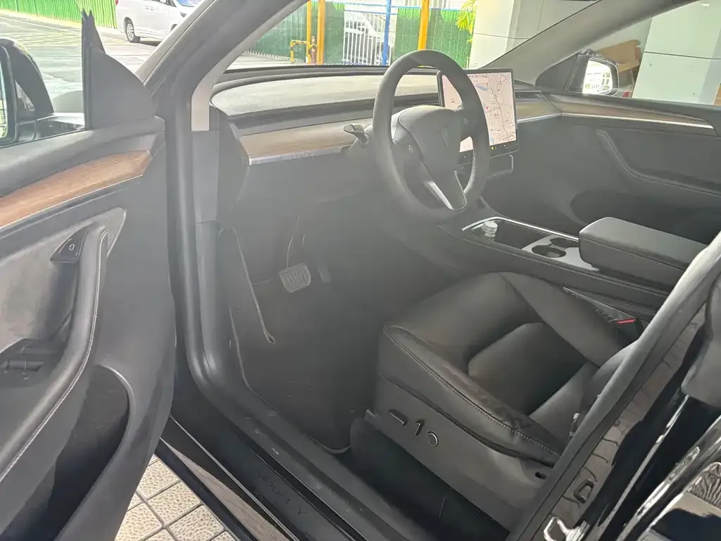 Tesla Model Y 2021 из CN, фото 5