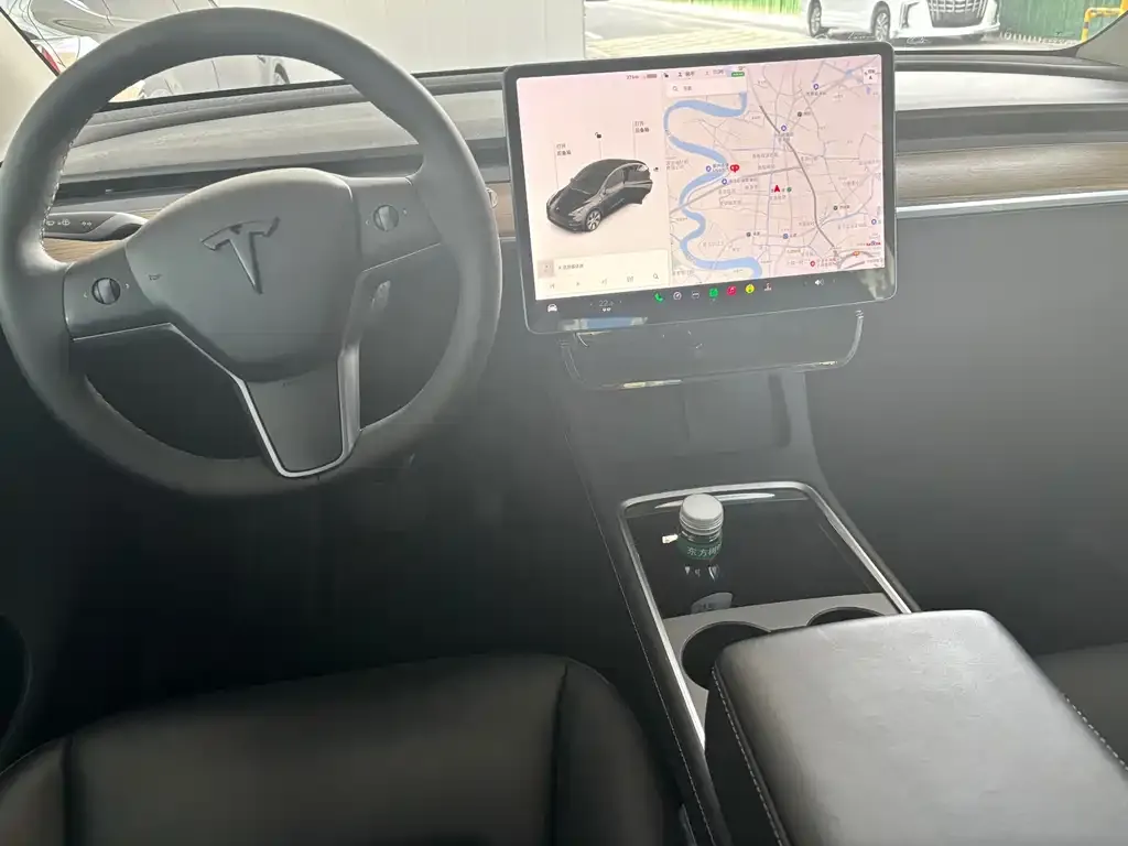 Tesla Model Y 2021 из CN, фото 6