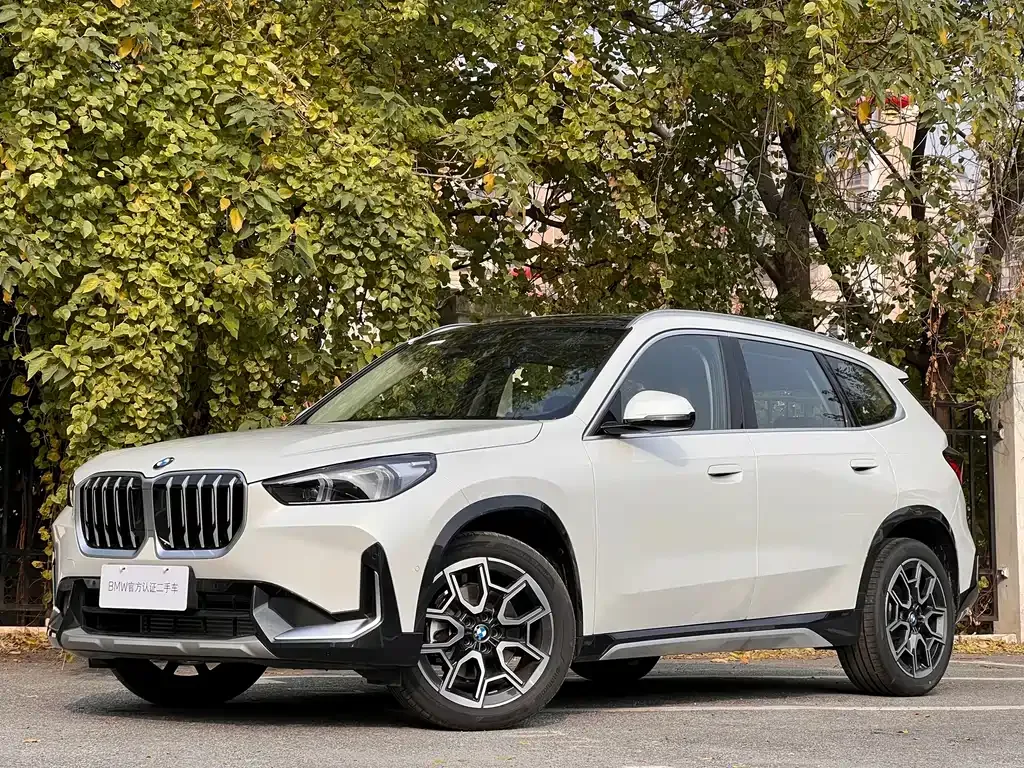 BMW X1 2025 из CN, фото 1