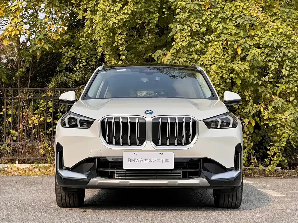 BMW X1 2025 из CN, фото 2