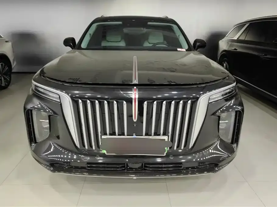 Hongqi E-HS9 2023 из CN, фото 2