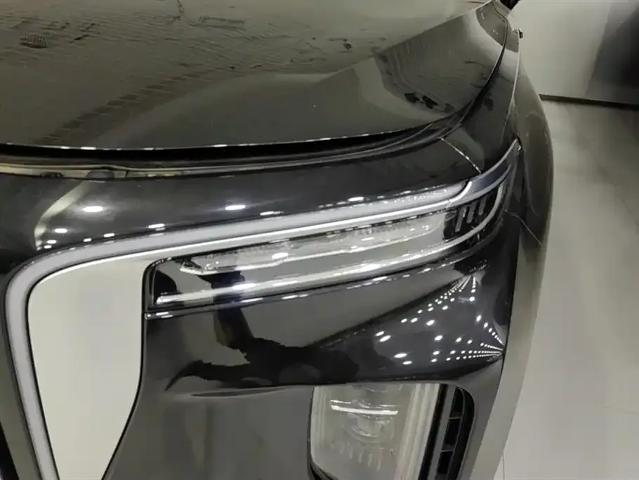 Hongqi E-HS9 2023 из CN, фото 5