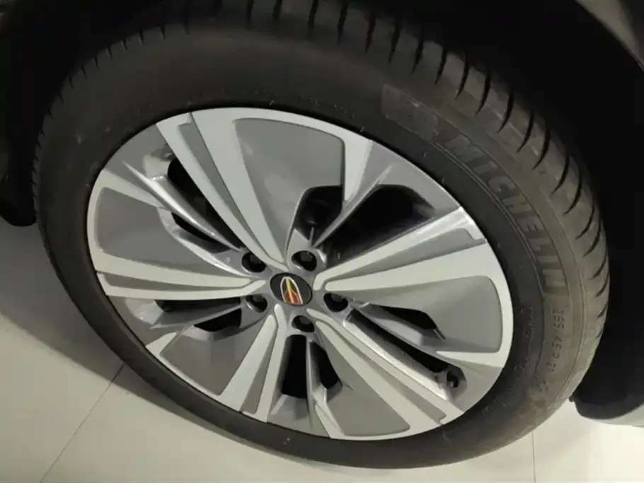 Hongqi E-HS9 2023 из CN, фото 6