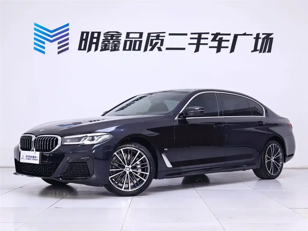 BMW 5 Series 2023 из CN, фото 2