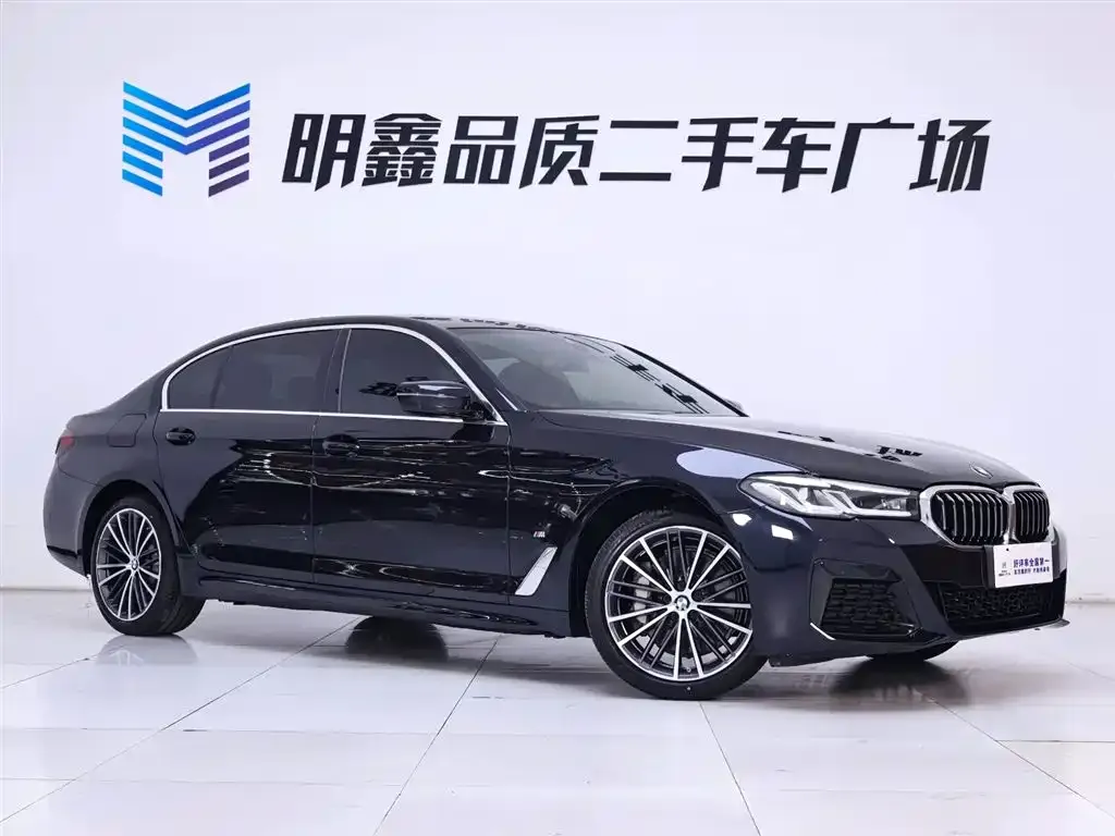 BMW 5 Series 2023 из CN, фото 5