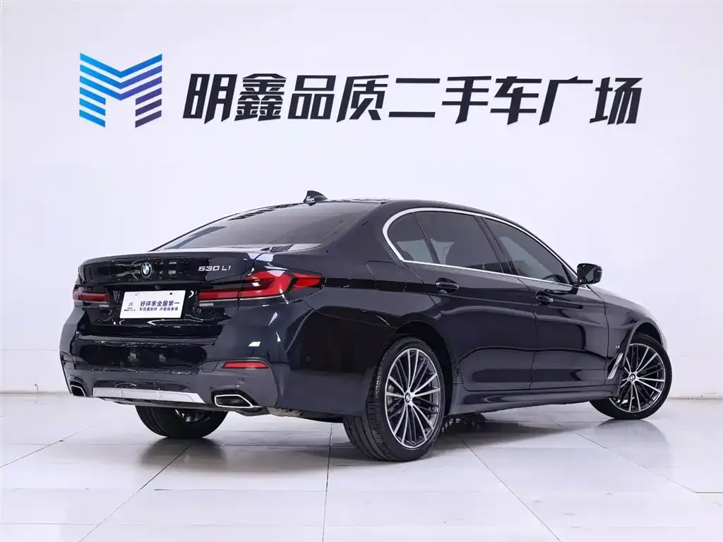 BMW 5 Series 2023 из CN, фото 7