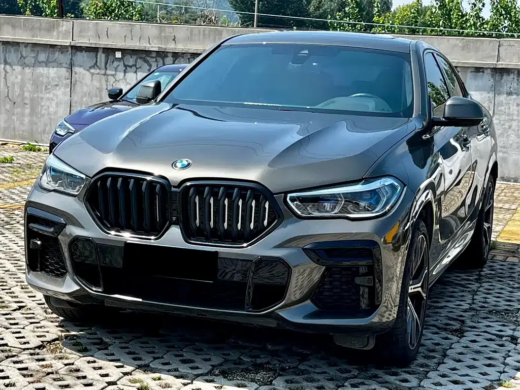 BMW X6 — фото 6