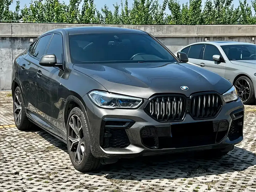 BMW X6 — фото 7