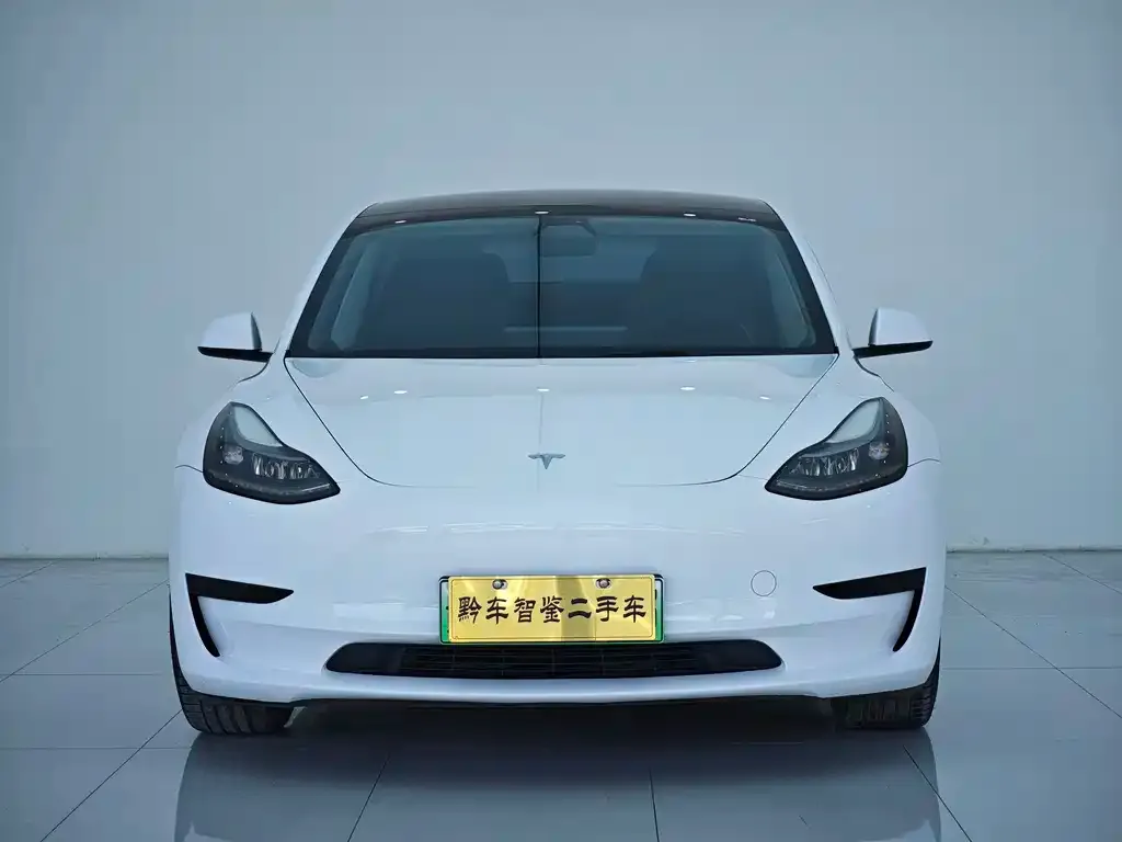 Tesla Model 3 2022 из CN, фото 2