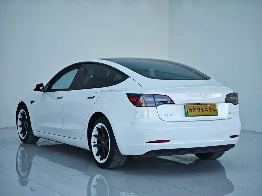 Tesla Model 3 2022 из CN, фото 4