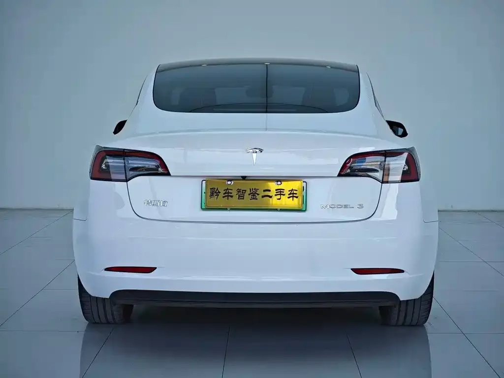 Tesla Model 3 2022 из CN, фото 5