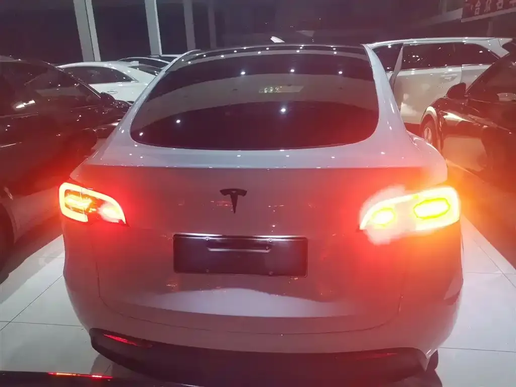 Tesla Model Y 2023 из CN, фото 6