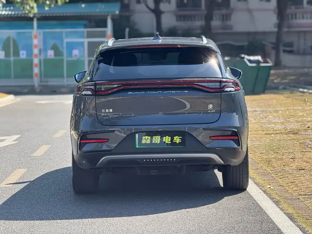BYD Tang New Energy 2022 из CN, фото 4