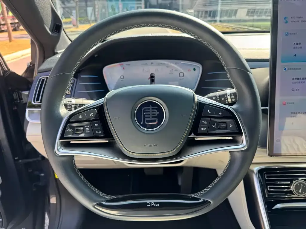 BYD Tang New Energy 2022 из CN, фото 9