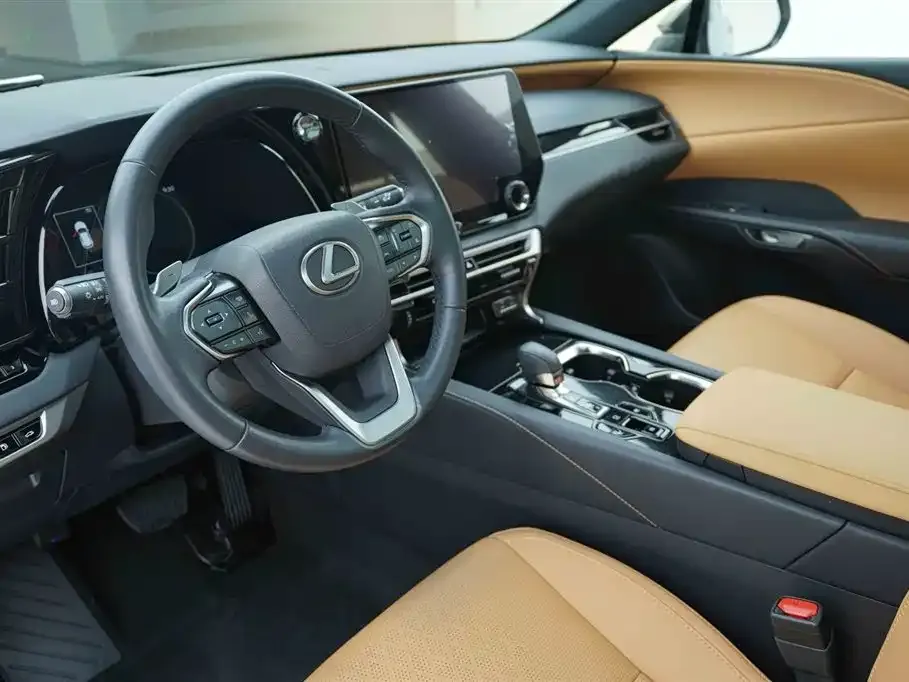 Lexus RX — фото 10