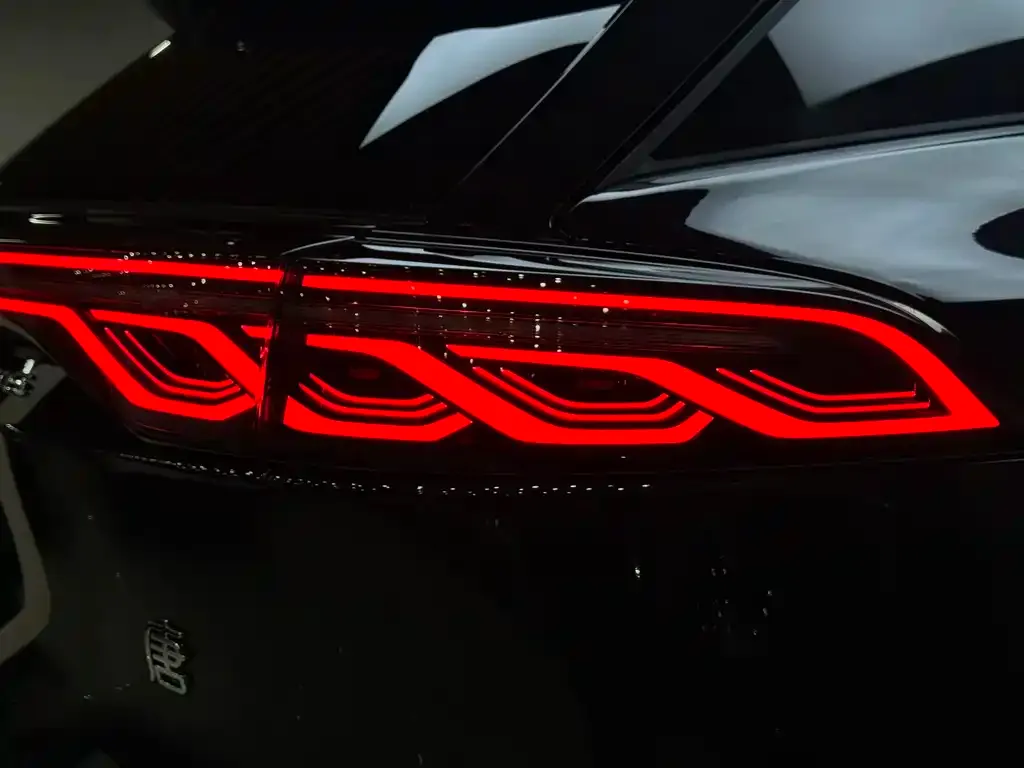 BYD Tang New Energy 2024 из CN, фото 10