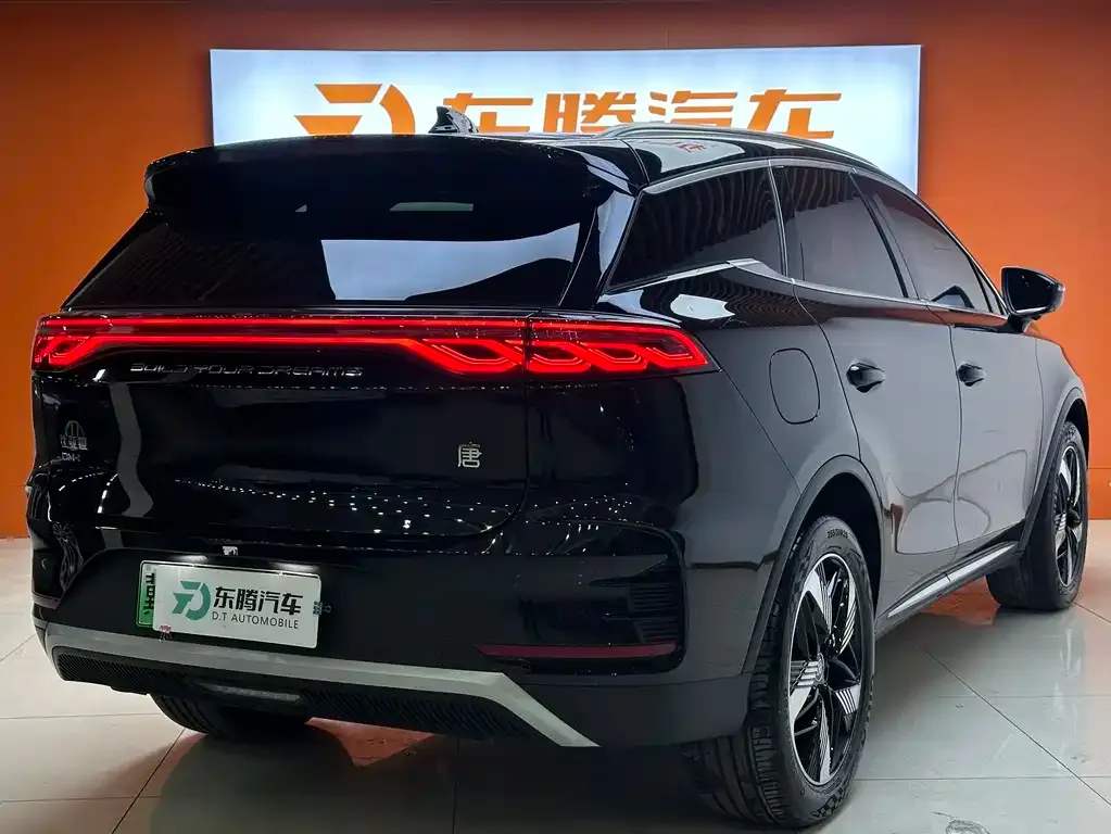 BYD Tang New Energy 2024 из CN, фото 6